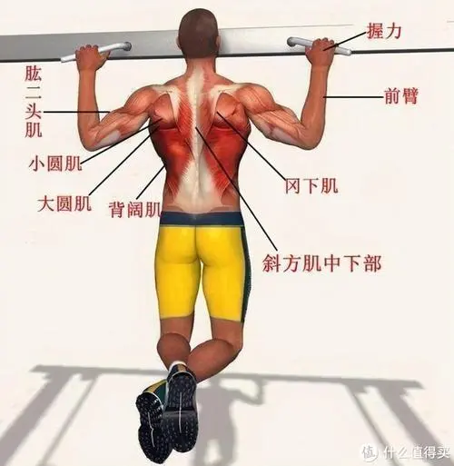 游戏原画实体版